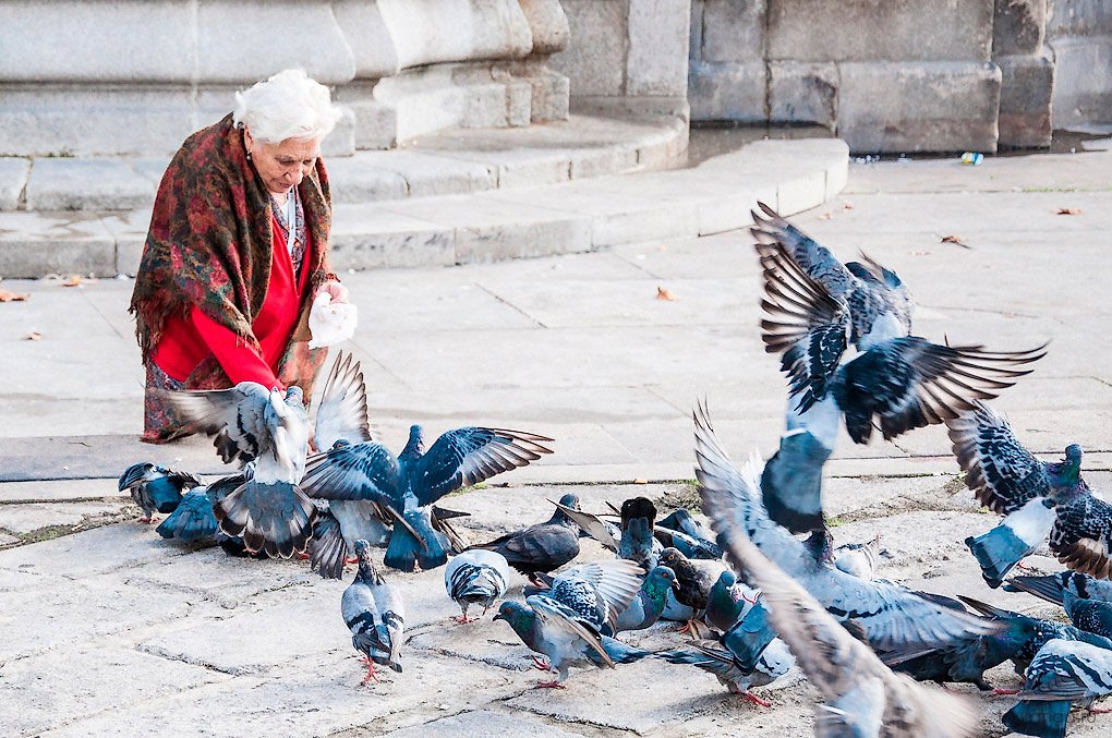 Бабулька кормит голубей в Порту.